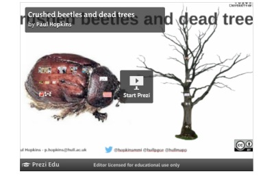 Beetles and trees